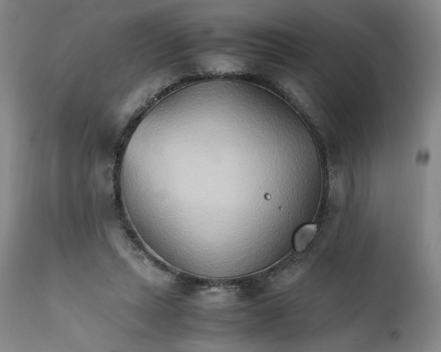 X0000111230447200907161321