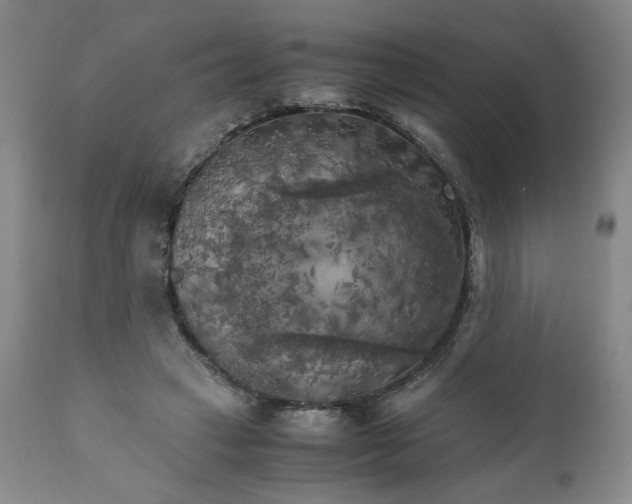 X0000111230449200907161321
