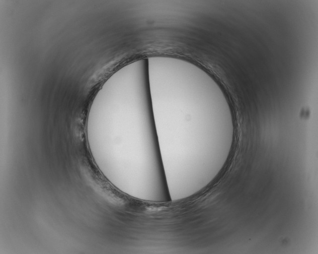 X0000111230450200907161321