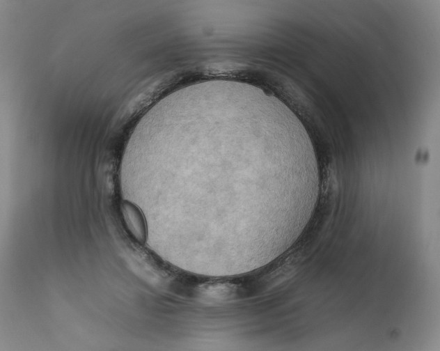 X0000111230452200907161321