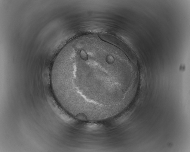 X0000111230453200907161321