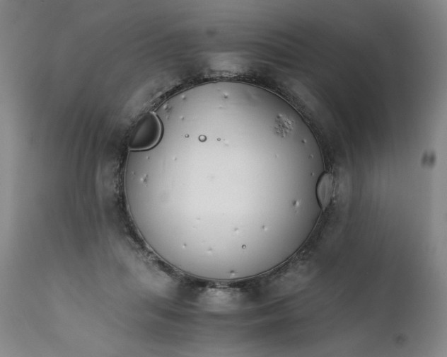 X0000111230455200907161321