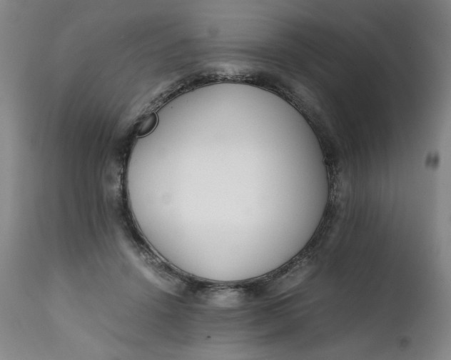X0000111230456200907161321