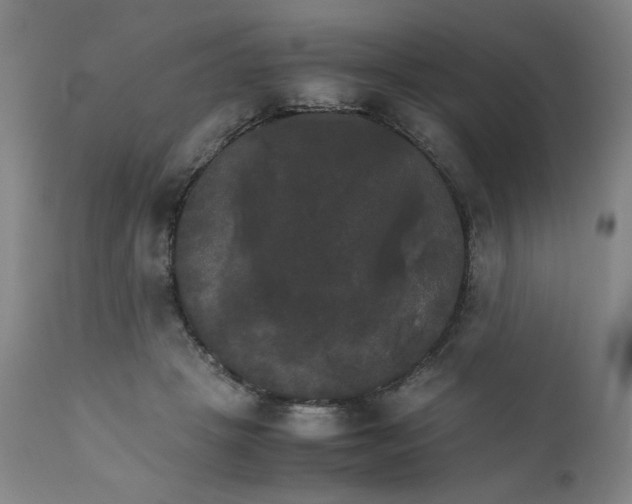 X0000111230457200907161321