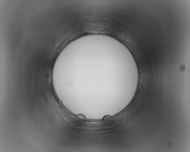 X0000111230461200907161321