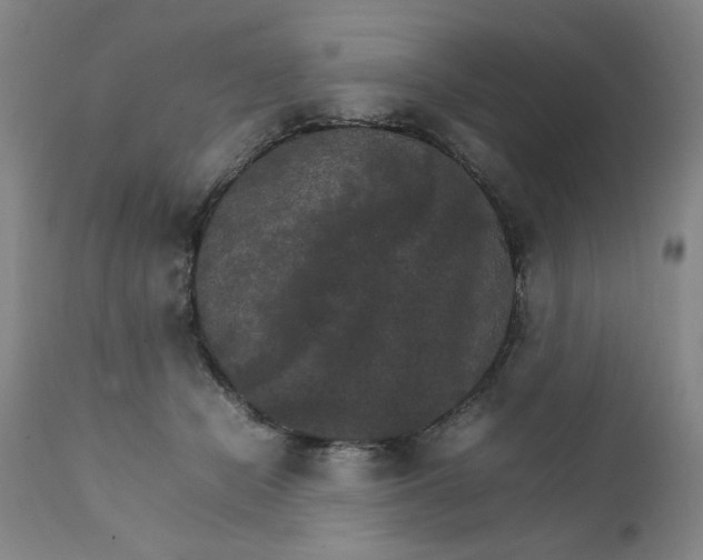 X0000111230462200907161321