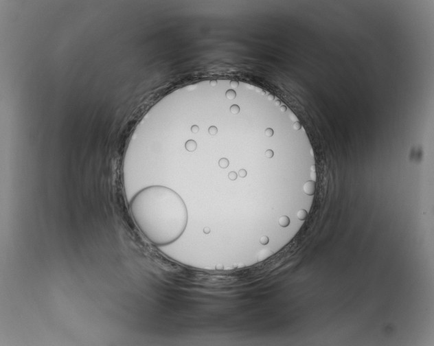 X0000111230463200907161321