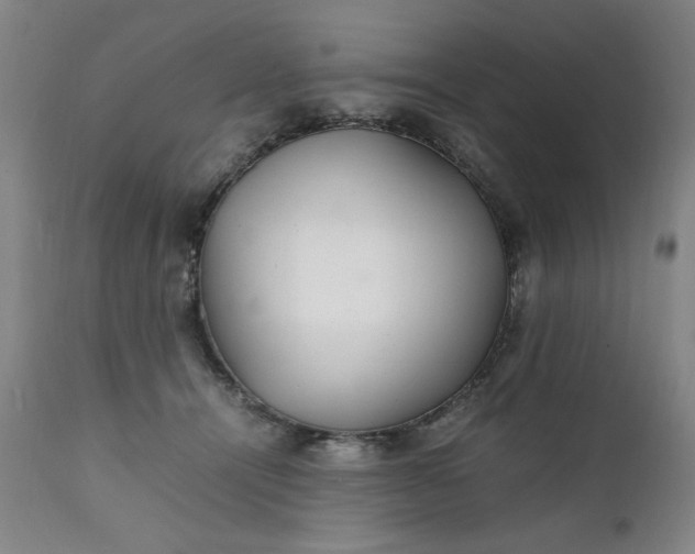 X0000111230464200907161321