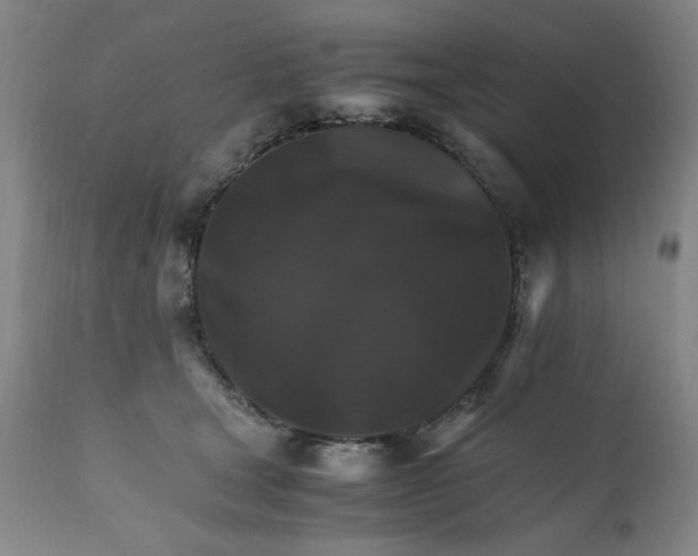 X0000111230465200907161321