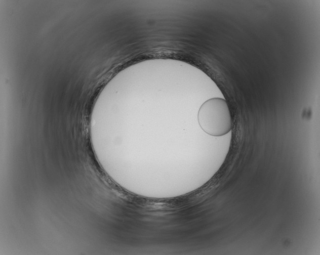 X0000111230467200907161321