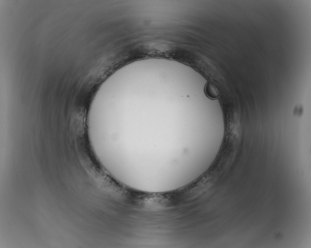 X0000111230468200907161321