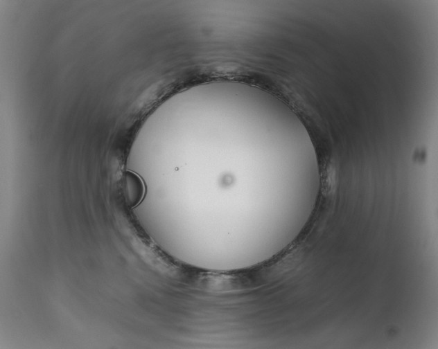 X0000111230472200907161321