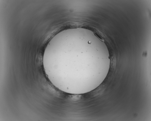 X0000111230474200907161321