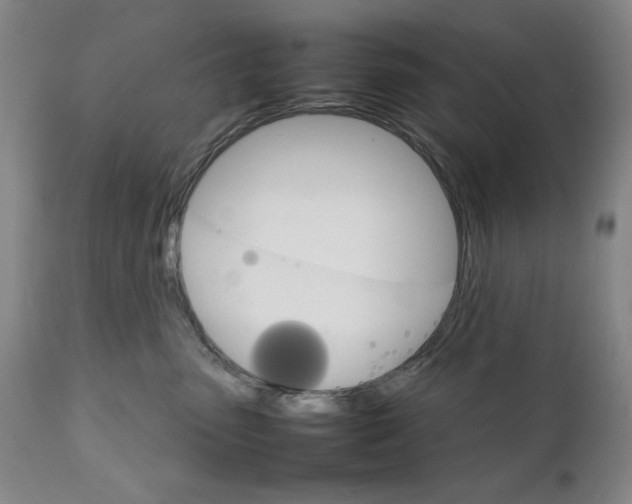 X0000111230475200907161321