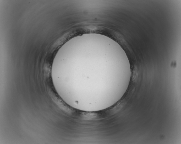 X0000111230476200907161321