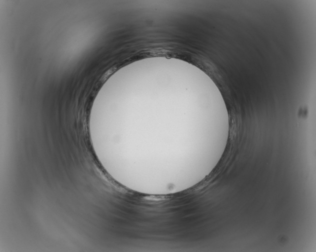 X0000111230477200907161321
