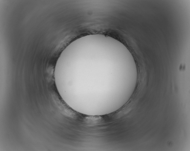 X0000111230480200907161321