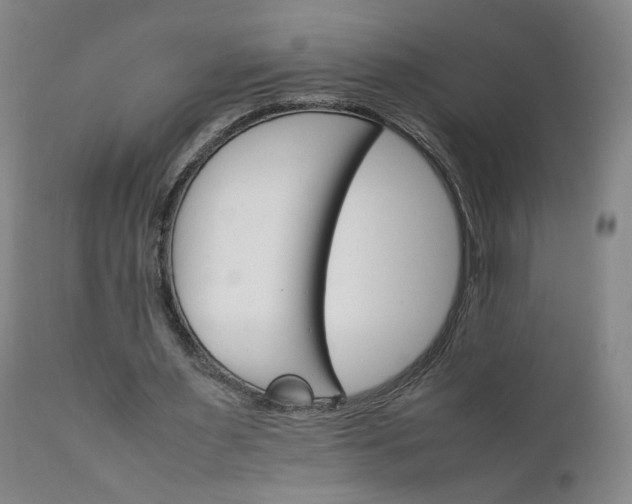 X0000111230483200907161320