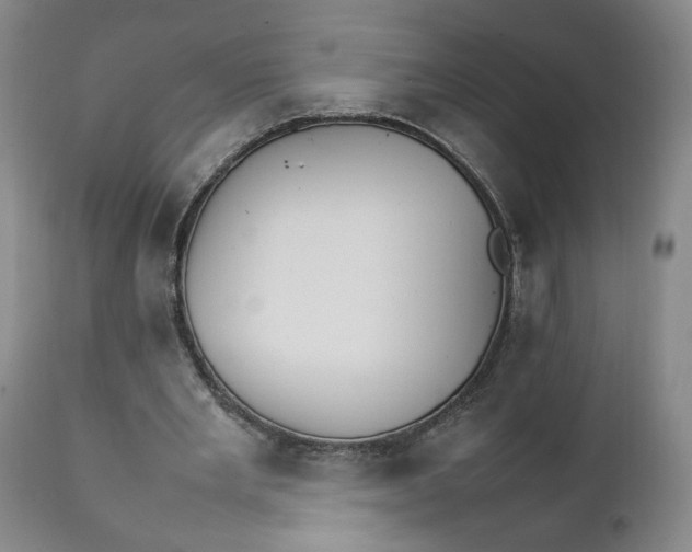 X0000111230485200907161320
