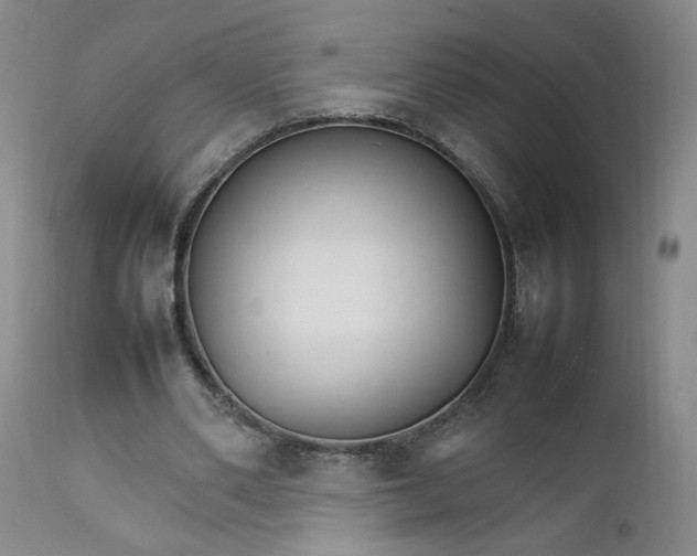 X0000111230486200907161320