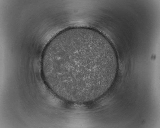 X0000111230487200907161320