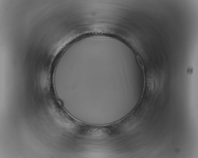 X0000111230488200907161320
