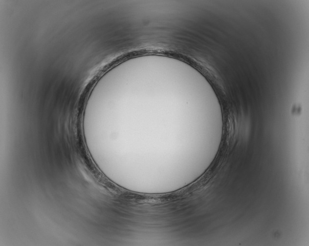X0000111230492200907161320