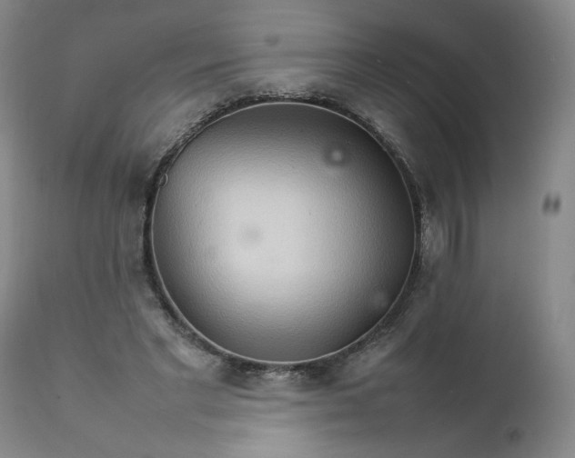 X0000111230493200907161320