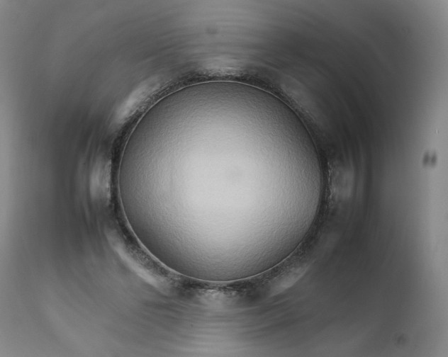X0000111230494200907161320