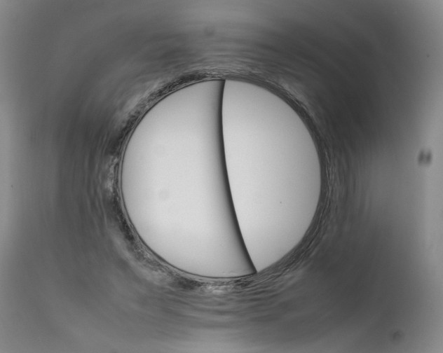 X0000111230495200907161320