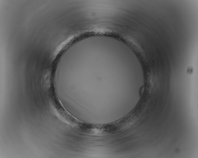 X0000111230496200907161320
