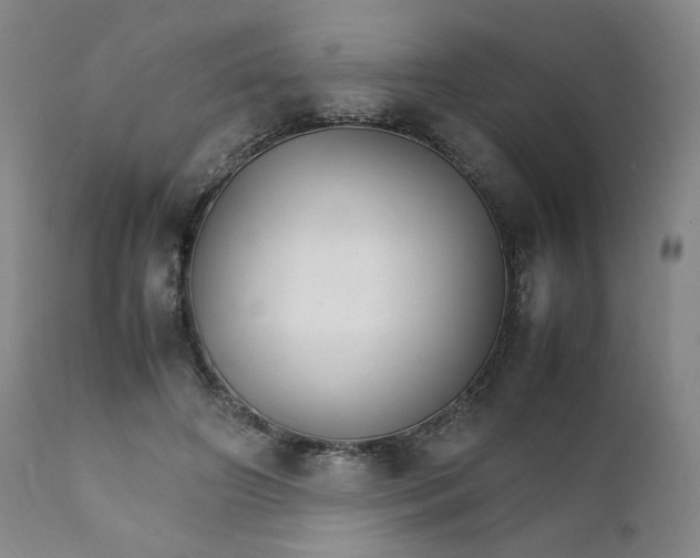 X0000111230498200907161320