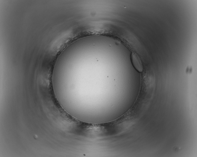 X0000111230499200907161320