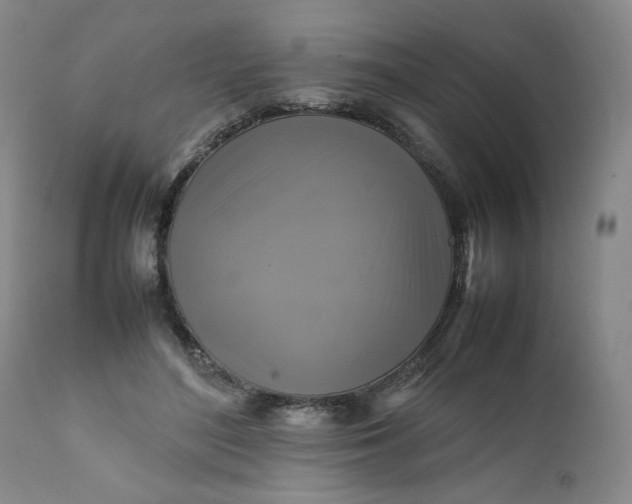 X0000111230500200907161320