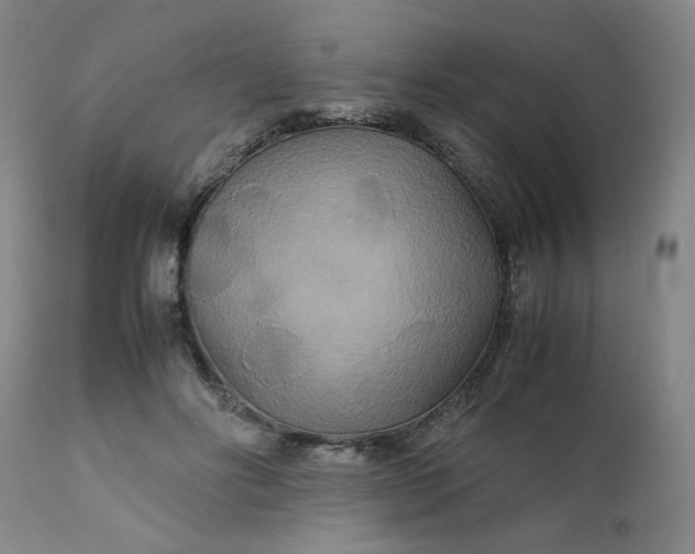 X0000111230502200907161320