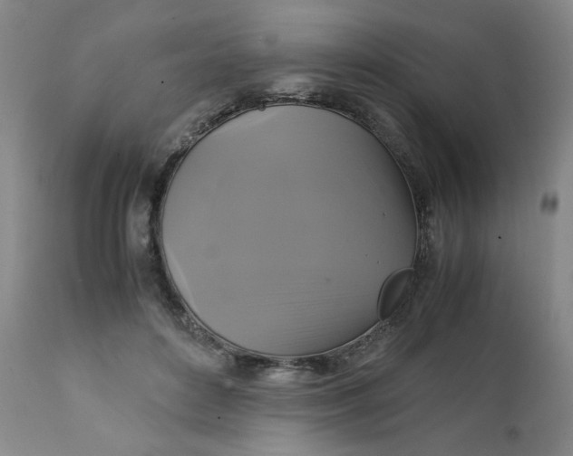 X0000111230504200907161320