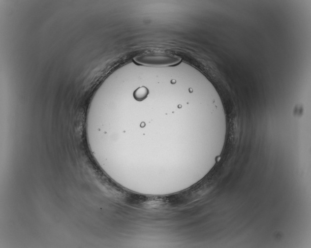 X0000111230505200907161320