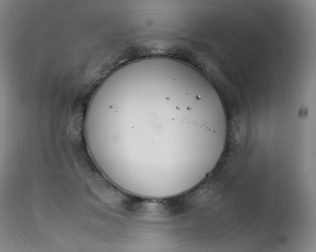X0000111230509200907161320