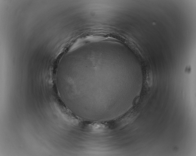 X0000111230512200907161320