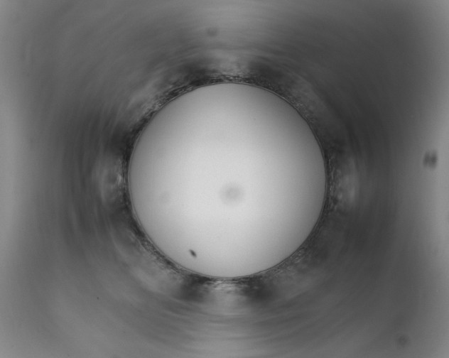 X0000111230518200907161320