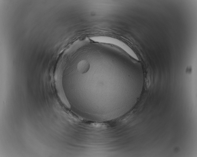 X0000111230520200907161320