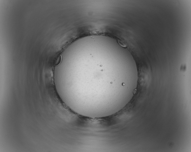 X0000111230523200907161319