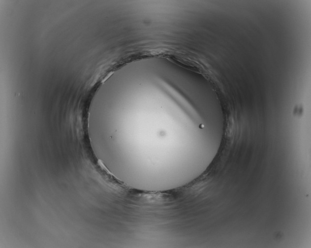 X0000111230524200907161319
