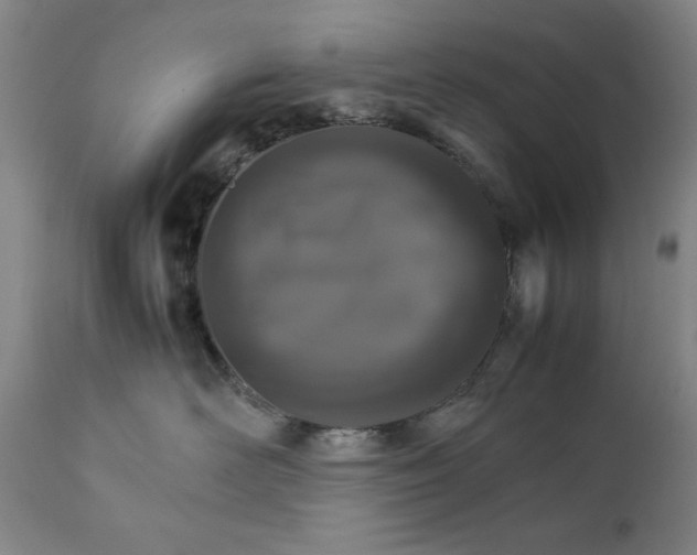 X0000111230526200907161319