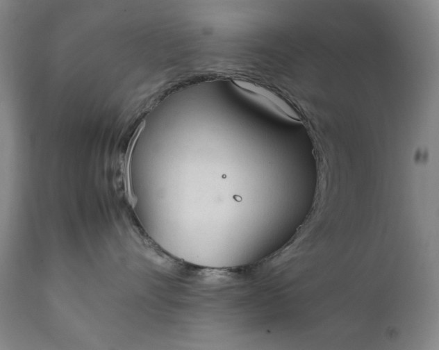 X0000111230528200907161319