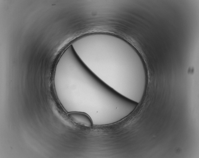 X0000111230530200907161319