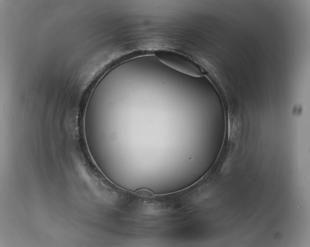X0000111230531200907161319