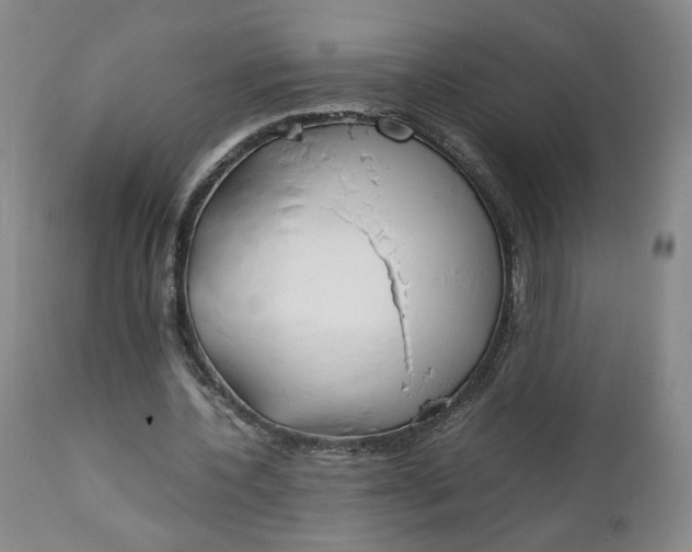 X0000111230532200907161319
