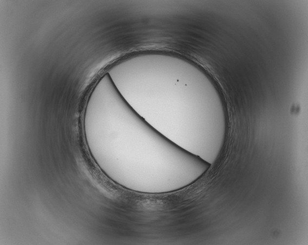 X0000111230535200907161319