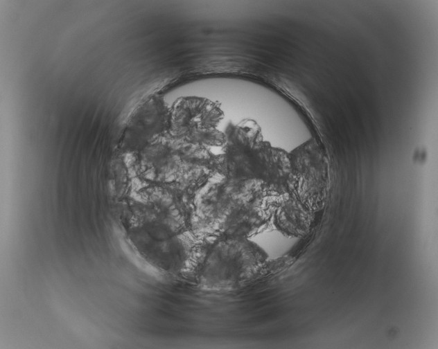 X0000111230537200907161319